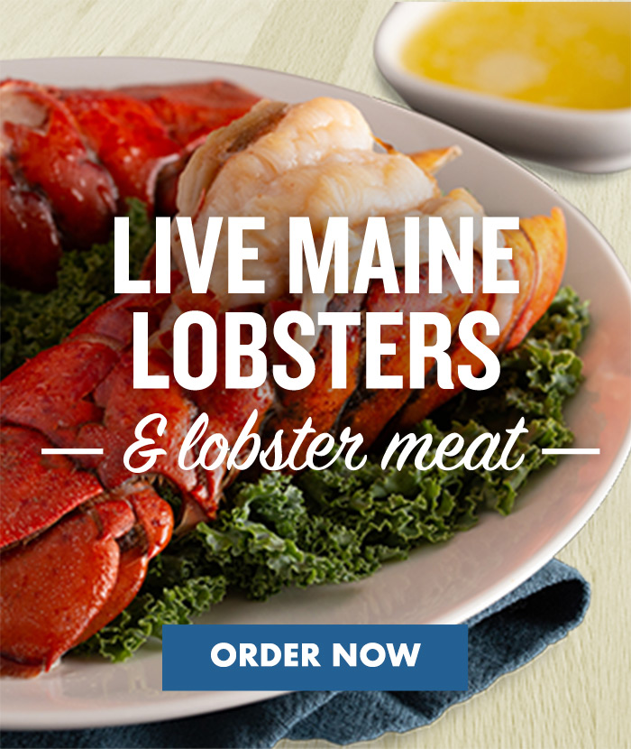 Live main Lobsters and Lobster meat, Plated Lobster, fork, cracker, hammer, wood table top