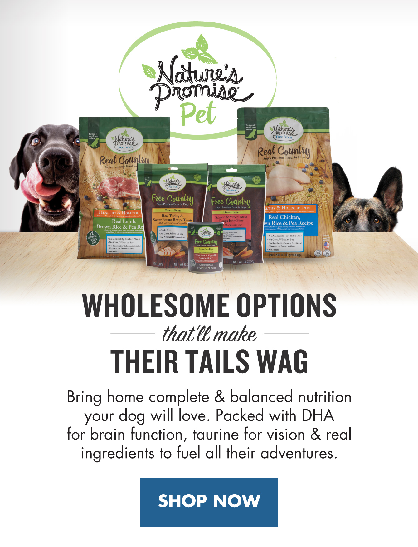 Nature's promise dog clearance food