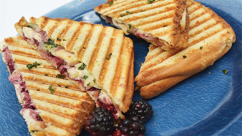 Blackberry-Chicken Grilled Cheese Panini