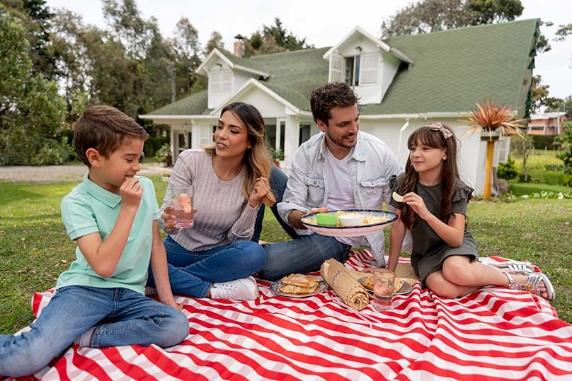 family on a picnic