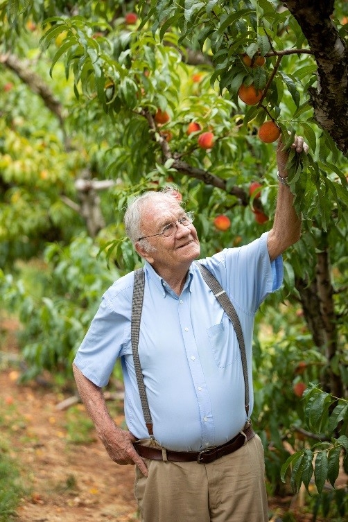 Crown Orchards