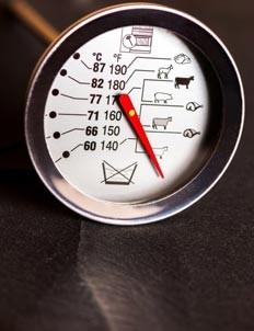 Meat Thermometer