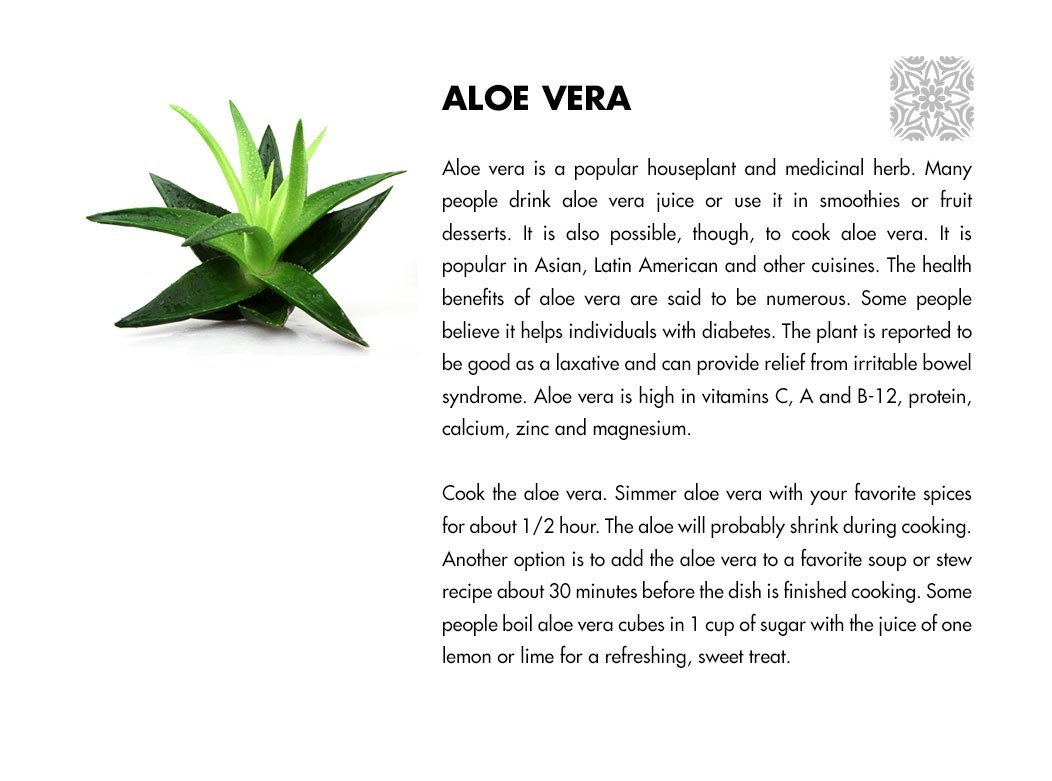 Aloe Vera